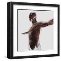 Anatomy of Male Muscles in Upper Body, Side View-null-Framed Art Print