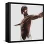 Anatomy of Male Muscles in Upper Body, Side View-null-Framed Stretched Canvas