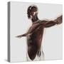 Anatomy of Male Muscles in Upper Body, Side View-null-Stretched Canvas