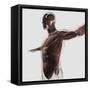 Anatomy of Male Muscles in Upper Body, Side View-null-Framed Stretched Canvas