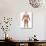 Anatomy of Male Muscular System, Back View-Stocktrek Images-Premium Photographic Print displayed on a wall