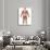 Anatomy of Male Muscular System, Back View-Stocktrek Images-Photographic Print displayed on a wall