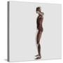 Anatomy of Male Muscular System, Side View-null-Stretched Canvas