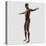 Anatomy of Male Muscular System, Side View-null-Stretched Canvas