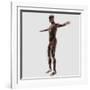 Anatomy of Male Muscular System, Side View-null-Framed Art Print