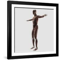 Anatomy of Male Muscular System, Side View-null-Framed Art Print