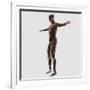 Anatomy of Male Muscular System, Side View-null-Framed Art Print