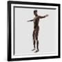 Anatomy of Male Muscular System, Side View-null-Framed Art Print