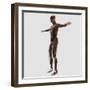 Anatomy of Male Muscular System, Side View-null-Framed Art Print