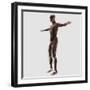 Anatomy of Male Muscular System, Side View-null-Framed Art Print