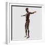 Anatomy of Male Muscular System, Side View-null-Framed Art Print