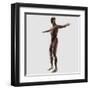 Anatomy of Male Muscular System, Side View-null-Framed Art Print