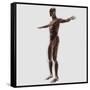 Anatomy of Male Muscular System, Side View-null-Framed Stretched Canvas