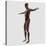 Anatomy of Male Muscular System, Side View-null-Stretched Canvas