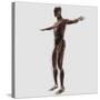 Anatomy of Male Muscular System, Side View-null-Stretched Canvas