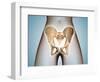 Anatomy of Pelvic Bone on Female Body-null-Framed Art Print