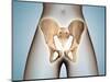 Anatomy of Pelvic Bone on Female Body-null-Mounted Art Print