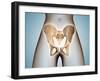 Anatomy of Pelvic Bone on Female Body-null-Framed Art Print