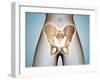 Anatomy of Pelvic Bone on Female Body-null-Framed Art Print