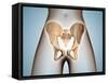 Anatomy of Pelvic Bone on Female Body-null-Framed Stretched Canvas