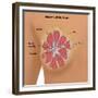 Anatomy of the Breast-Gwen Shockey-Framed Giclee Print