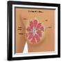 Anatomy of the Breast-Gwen Shockey-Framed Giclee Print