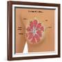 Anatomy of the Breast-Gwen Shockey-Framed Giclee Print