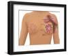 Anatomy of the Breast-Gwen Shockey-Framed Giclee Print