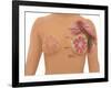 Anatomy of the Breast-Gwen Shockey-Framed Giclee Print