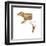Anatomy of the Dog Elbow with Lateral Zoom-null-Framed Art Print