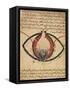 Anatomy of the Eye, from a Book on Eye Diseases-Al-Mutadibi-Framed Stretched Canvas