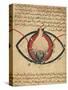 Anatomy of the Eye, from a Book on Eye Diseases-Al-Mutadibi-Stretched Canvas