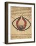 Anatomy of the Eye, from a Book on Eye Diseases-Al-Mutadibi-Framed Giclee Print