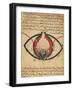 Anatomy of the Eye, from a Book on Eye Diseases-Al-Mutadibi-Framed Giclee Print