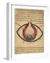 Anatomy of the Eye, from a Book on Eye Diseases-Al-Mutadibi-Framed Giclee Print