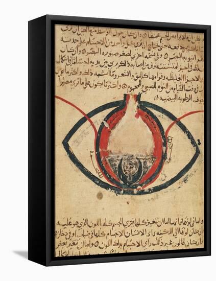 Anatomy of the Eye, from a Book on Eye Diseases-Al-Mutadibi-Framed Stretched Canvas