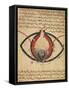 Anatomy of the Eye, from a Book on Eye Diseases-Al-Mutadibi-Framed Stretched Canvas