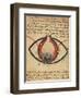 Anatomy of the Eye, from a Book on Eye Diseases-Al-Mutadibi-Framed Giclee Print