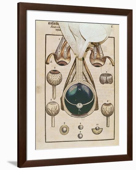 Anatomy of the Eye, from Ophthalmodouleia by Georg Bartisch-null-Framed Giclee Print