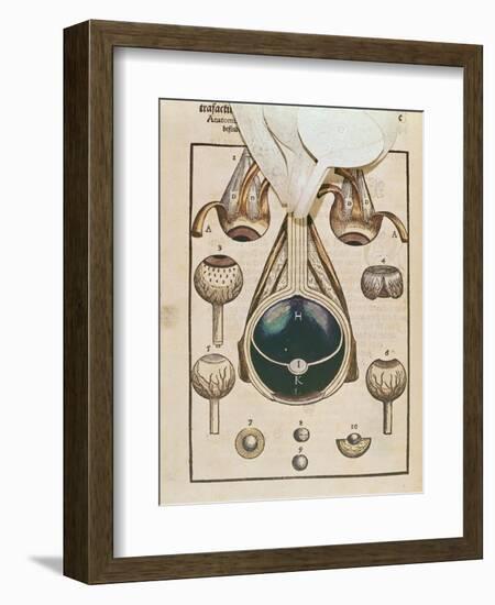 Anatomy of the Eye, from Ophthalmodouleia by Georg Bartisch-null-Framed Giclee Print