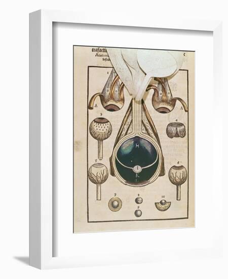 Anatomy of the Eye, from Ophthalmodouleia by Georg Bartisch-null-Framed Giclee Print