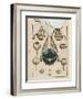 Anatomy of the Eye, from Ophthalmodouleia by Georg Bartisch-null-Framed Giclee Print