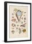 Anatomy of the Eyes-E. Guerin-Framed Photographic Print