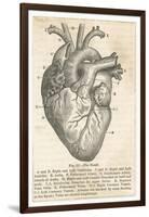 Anatomy of the Heart-null-Framed Photographic Print