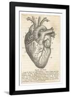 Anatomy of the Heart-null-Framed Photographic Print