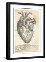 Anatomy of the Heart-null-Framed Photographic Print