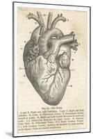 Anatomy of the Heart-null-Mounted Photographic Print