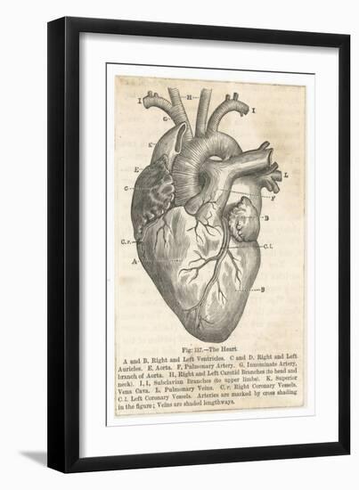 Anatomy of the Heart-null-Framed Premium Photographic Print