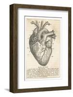 Anatomy of the Heart-null-Framed Photographic Print