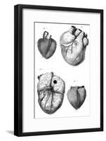 Anatomy of the Heart-null-Framed Art Print